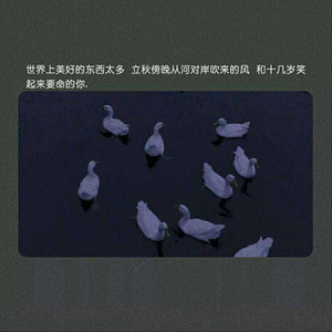 欧美老妇bbwxxxxcc
