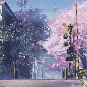 日韩毛片免费无码无毒
